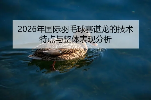 2026年国际羽毛球赛谌龙的技术特点与整体表现分析