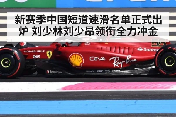新赛季中国短道速滑名单正式出炉 刘少林刘少昂领衔全力冲金